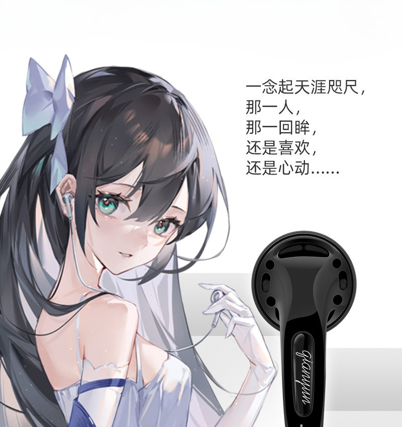 Yunji Qian 25th Anniversary Ed - Usb C Earphone のレビューと価格