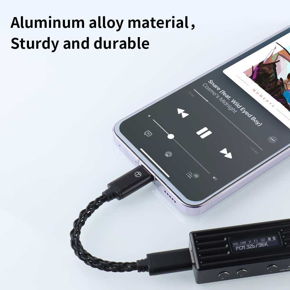 TRN To Conversion Line Type-C  - Usb C Earphone のレビューと価格